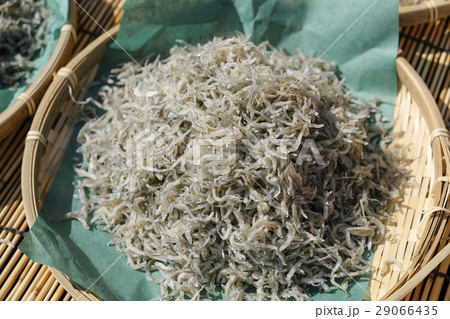 ちりめんジャコ　 29066435