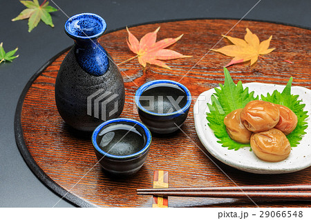 日本酒と梅干 29066548