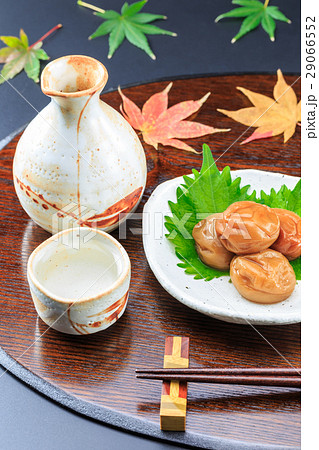 日本酒と梅干 29066552