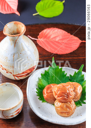 日本酒と梅干 29066563