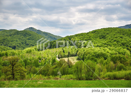 Beautiful valley with mountains in the background 29066837