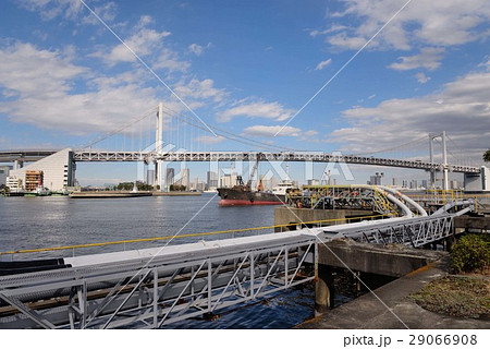 品川埠頭から眺めるレインボーブリッジ 29066908