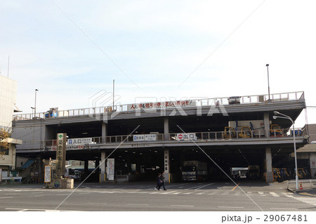 築地市場 29067481