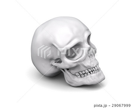 頭蓋骨のイラスト素材