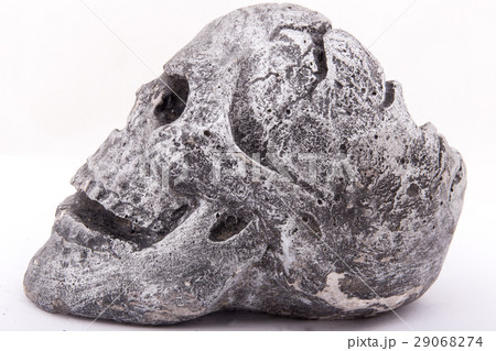 Skull ashtray Skull ashtray 29068274