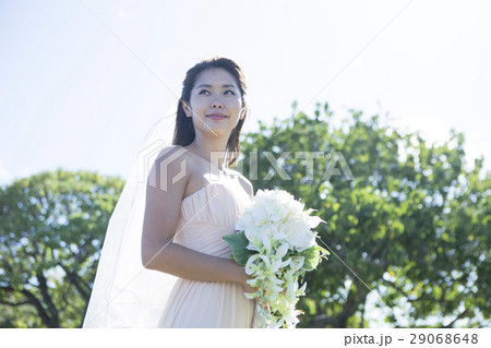ブーケを持つ20代女性花嫁 29068648