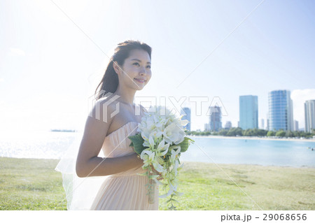 ブーケを持つ20代女性花嫁 ブーケを持つ20代女性花嫁 29068656