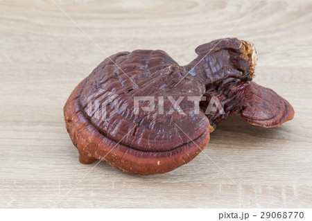 Ganoderma Lucidum Mushroom on wood background 29068770