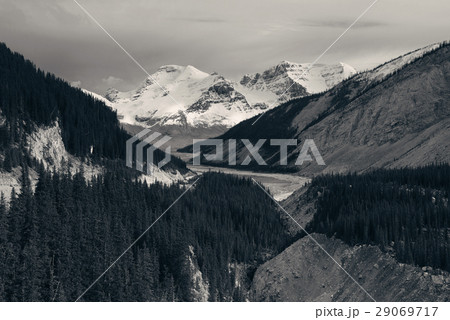 Columbia Icefield 29069717