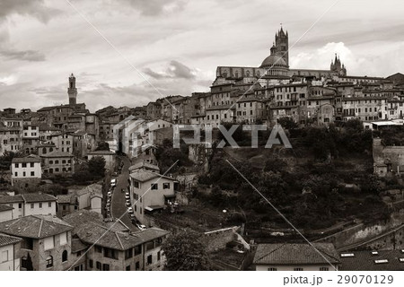 Siena panorama 29070129