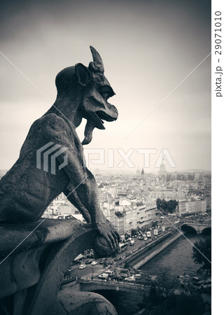 Paris rooftop view 29071010