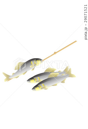 夏の風物詩鮎 29071521
