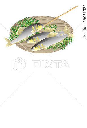 夏の風物詩鮎 夏の風物詩鮎 29071522