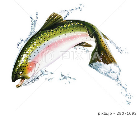 Fish Jumping Out Of The Water With Some Splashes のイラスト素材