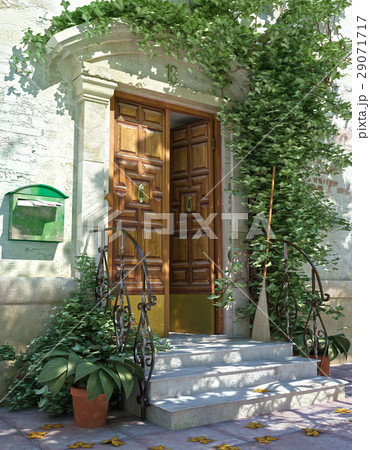 Classic house front door with stairs. 29071717