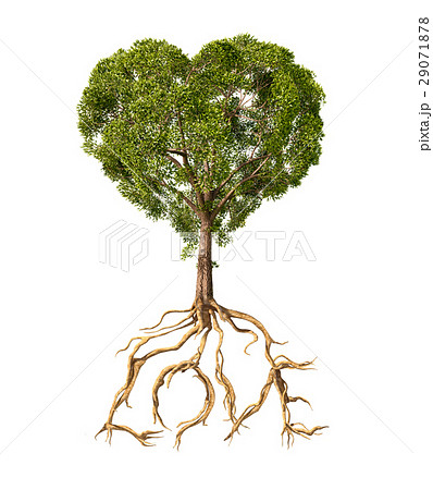 Tree With Foliage With The Shape Of A Heart And のイラスト素材