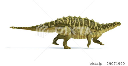 Talarurus dinosaur, photorealistic and scientifically correct representation. Side view. 29071990