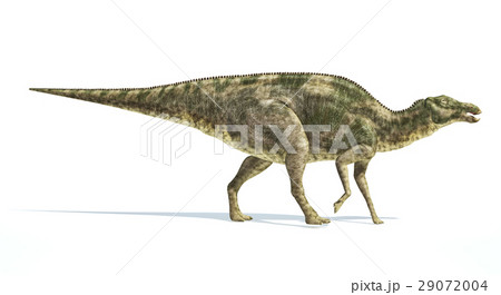 Maiasaura dinosaur, photorealistic representation. Side view. Maiasaura dinosaur, photorealistic representation. Side view. 29072004