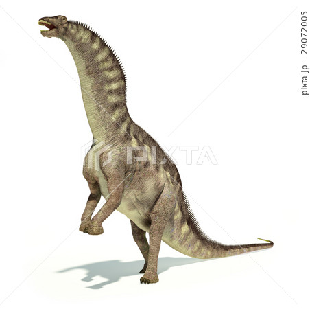 Photorealistic representation of an Amargasaurus dinosaur. Dynamic posture. Photorealistic representation of an Amargasaurus dinosaur. Dynamic posture. 29072005
