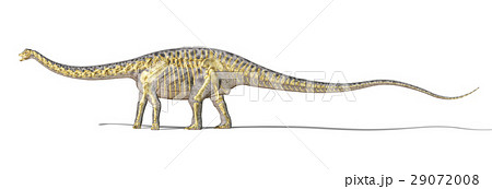 Diplodocus dinosaur photo-realistc rendering, with full skeleton superimposed. 29072008