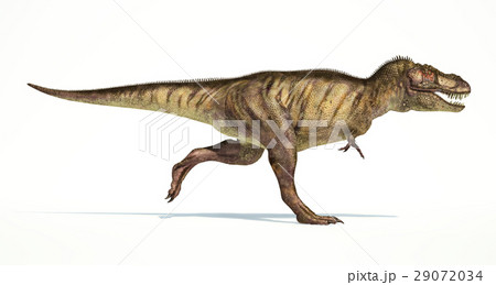 Tyrannosaurus Rex dinosaur, photorealistic representation. Side view. 29072034