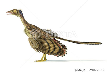 Photorealistic representation of an Archaeopteryx dinosaur. 29072035