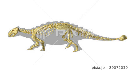 Ankylosaurus dinosaurus silhouette, with full skeleton superimposed. Side view. 29072039
