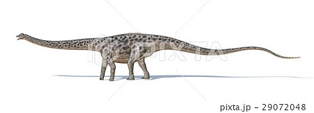 Photorealistic and scientifically correct 3 D rendering of a Diplodocus dinosaur. 29072048