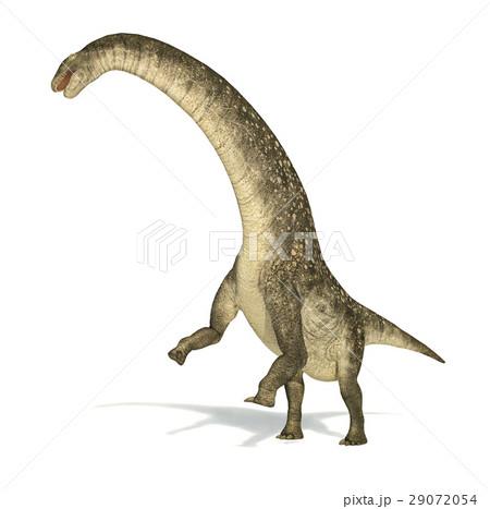 Titanosaurus dinosaur, photorealistic and scientifically correct representation. Dinamic view. 29072054