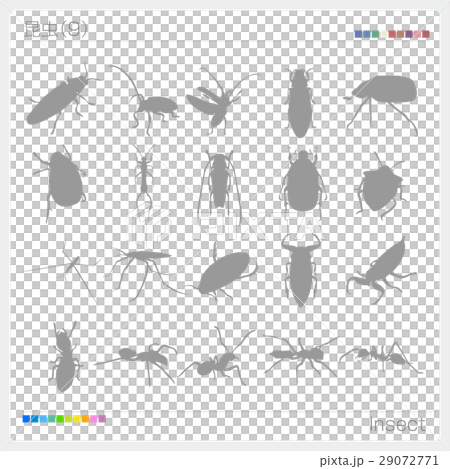 昆虫 シルエット 29072771