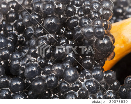 black caviar of halibut fish with spoon close up black caviar of halibut fish with spoon close up 29073630
