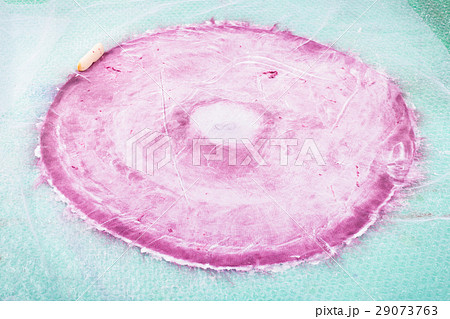 lathering of the fibers on back side of hat layout 29073763