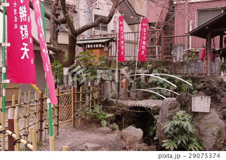 新宿荒木町 新宿荒木町 29075374