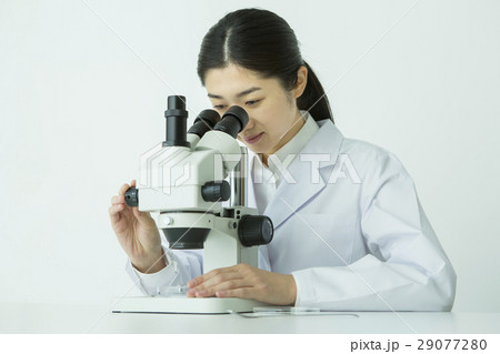 顕微鏡を覗く30代女性研究者 顕微鏡を覗く30代女性研究者 29077280