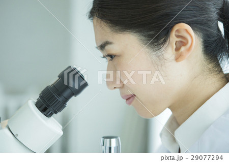 顕微鏡を覗く30代女性研究員 顕微鏡を覗く30代女性研究員 29077294
