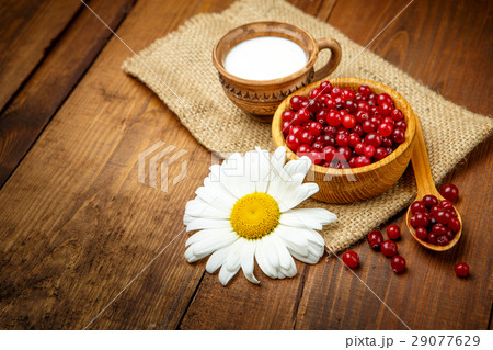 Fresh redcurrant 29077629