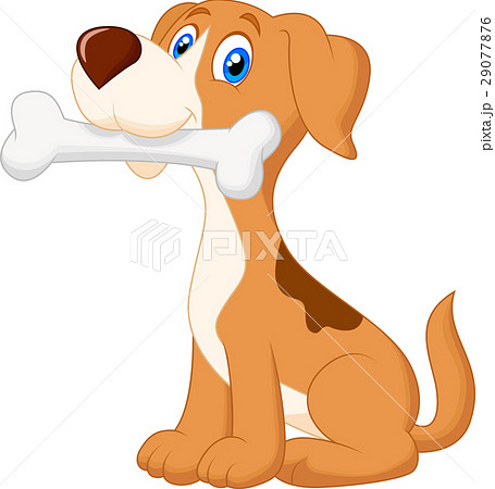 Cute dog with bone 29077876