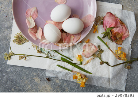 White eggs with dried flowers 29078293