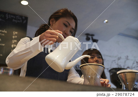 カフェで働く女性 スタッフ カフェで働く女性 スタッフ 29078724