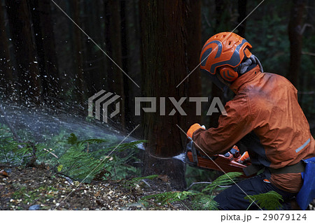 林業の男性 29079124
