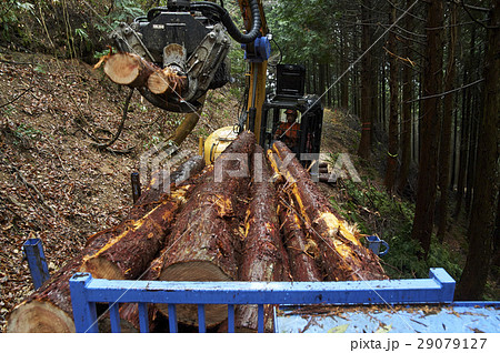 林業 林業 29079127