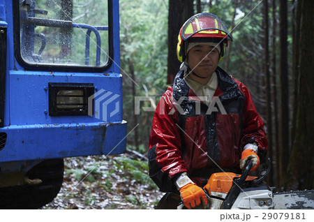 林業の男性 林業の男性 29079181