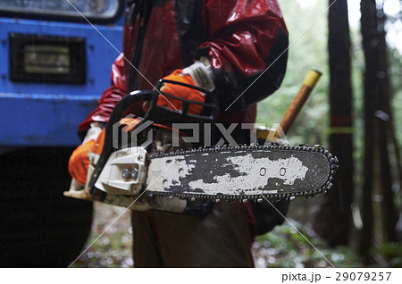 林業の男性　チェーンソー 29079257