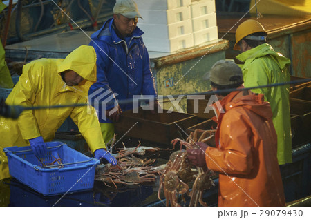 深夜に働く漁師 29079430