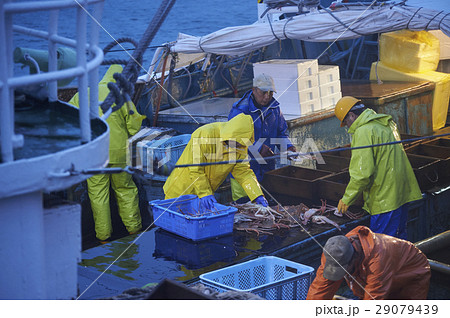 深夜に働く漁師 29079439
