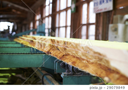 製材所 製材所 29079849