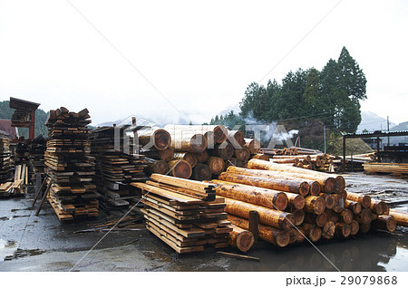 製材所 製材所 29079868