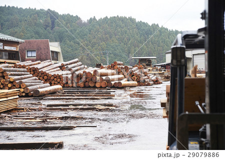 製材所 29079886