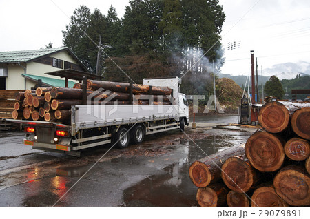 製材所 製材所 29079891