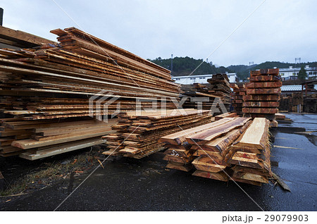 製材所 製材所 29079903